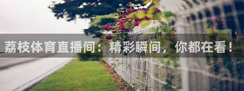 荔枝体育直播间：精彩瞬间，你都在看！