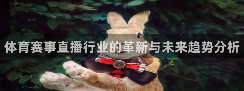 体育赛事直播行业的革新与未来趋势分析