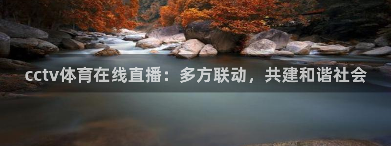 cctv体育在线直播：多方联动，共建和谐社会