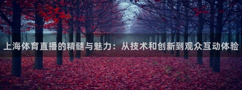上海体育直播的精髓与魅力：从技术和创新到观众互动体验