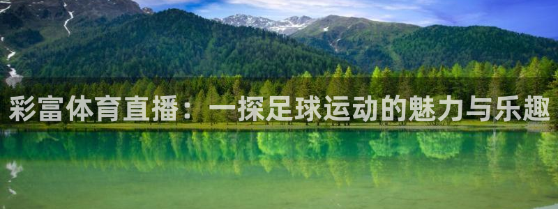 彩富体育直播：一探足球运动的魅力与乐趣
