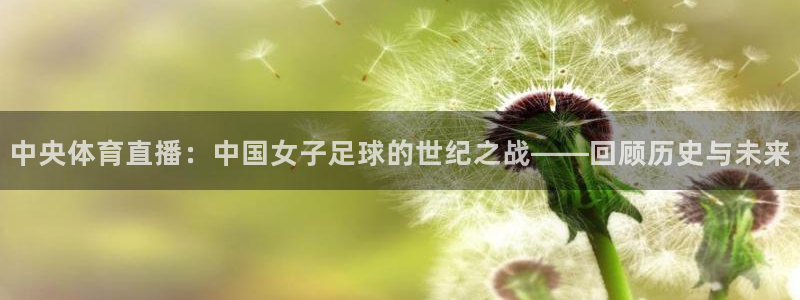 中央体育直播：中国女子足球的世纪之战——回顾历史与未来