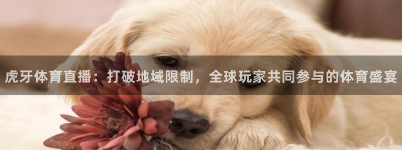 虎牙体育直播：打破地域限制，全球玩家共同参与的体育盛宴
