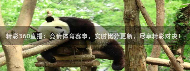精彩360直播：竞猜体育赛事，实时比分更新，尽享精彩对决！