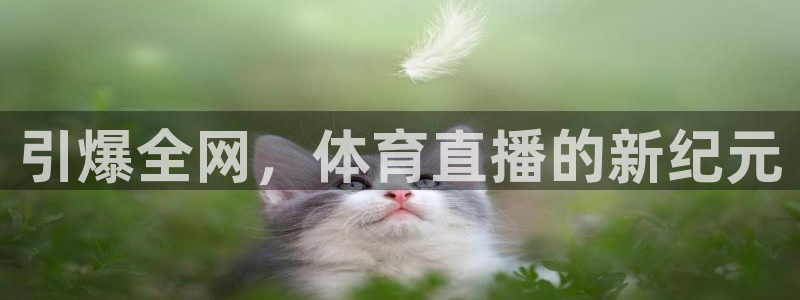 引爆全网，体育直播的新纪元