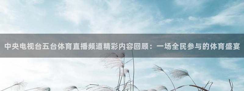 中央电视台五台体育直播频道精彩内容回顾：一场全民参与的体育盛宴