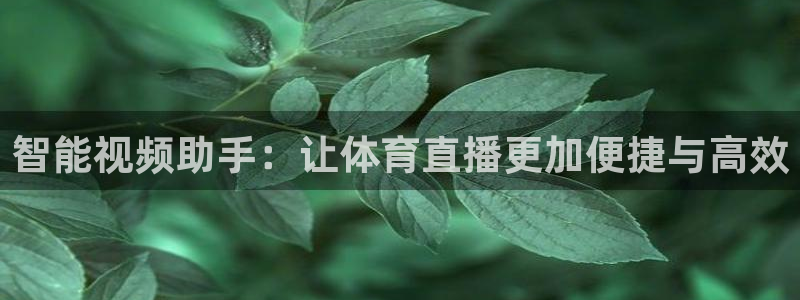 智能视频助手：让体育直播更加便捷与高效